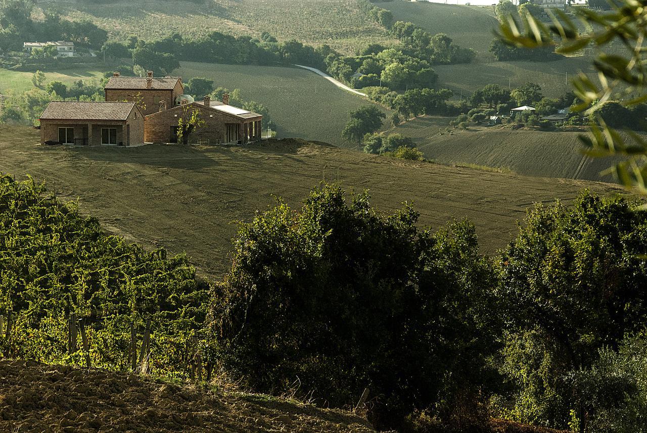 Filodivino Wine Resort&SPA San Marcello  Exterior foto